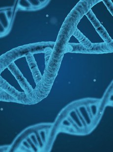 rajeunissement-des-chercheurs-font-une-decouverte-sensationnelle